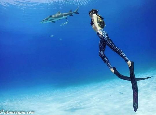 Ashleigh Braid la ragazza che nuota con gli squali