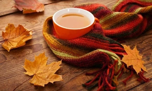 Datteri kiwi tè speziati e altre prelibatezze i rimedi naturali contro i malanni autunnali