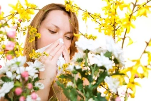 Allergia ai pollini il vademecum del Ministero della Salute