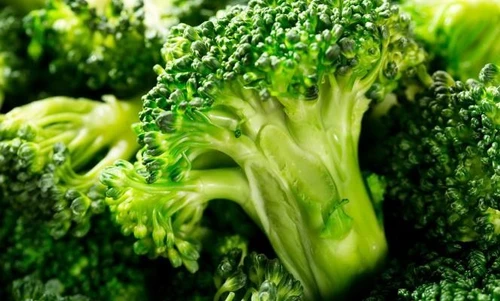 Estratto di broccoli e batteri ingegnerizzati contro il cancro del colonretto