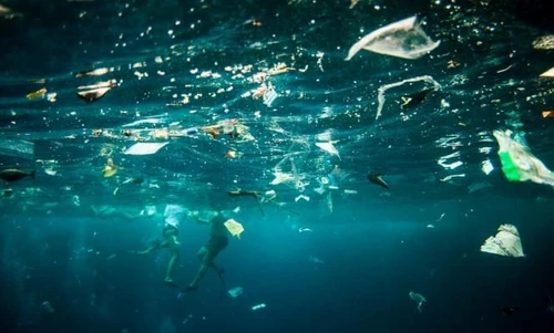 Plastica nellambiente marino unemergenza da affrontare