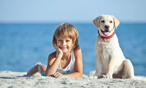 Estate con Fufi e Fido come proteggerli dai pericoli del caldo e del sole