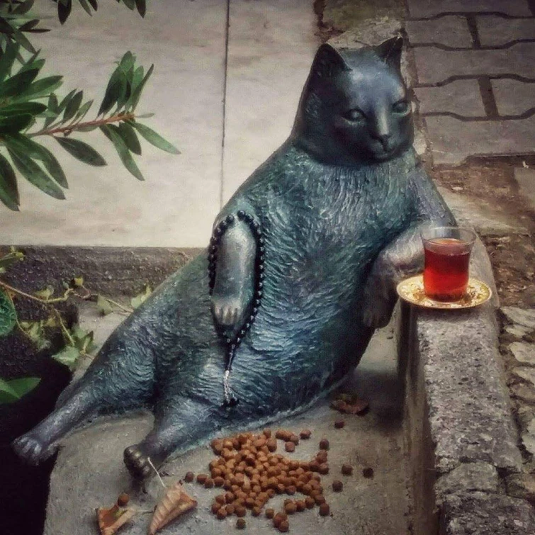 Tombili il gatto star di Istanbul ora ha la sua statua