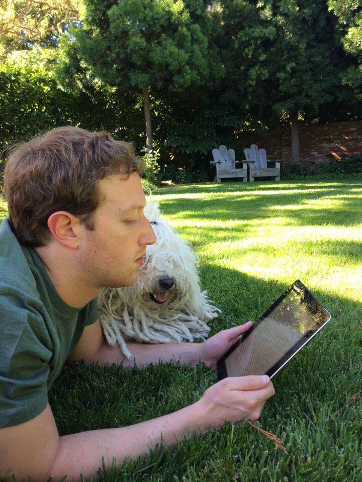 Beast ladorabile cane di Mark Zuckerberg