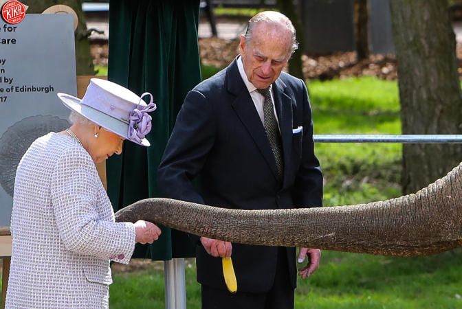 La Regina il Principe e lelefantela banana che crea imbarazzo