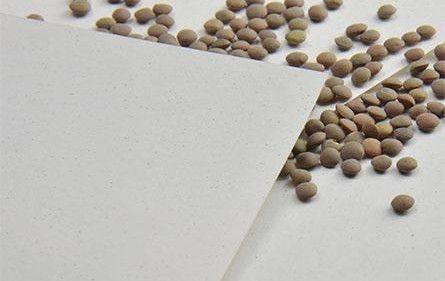 La carta con gli scarti delle lenticchie biodegradabile al 100