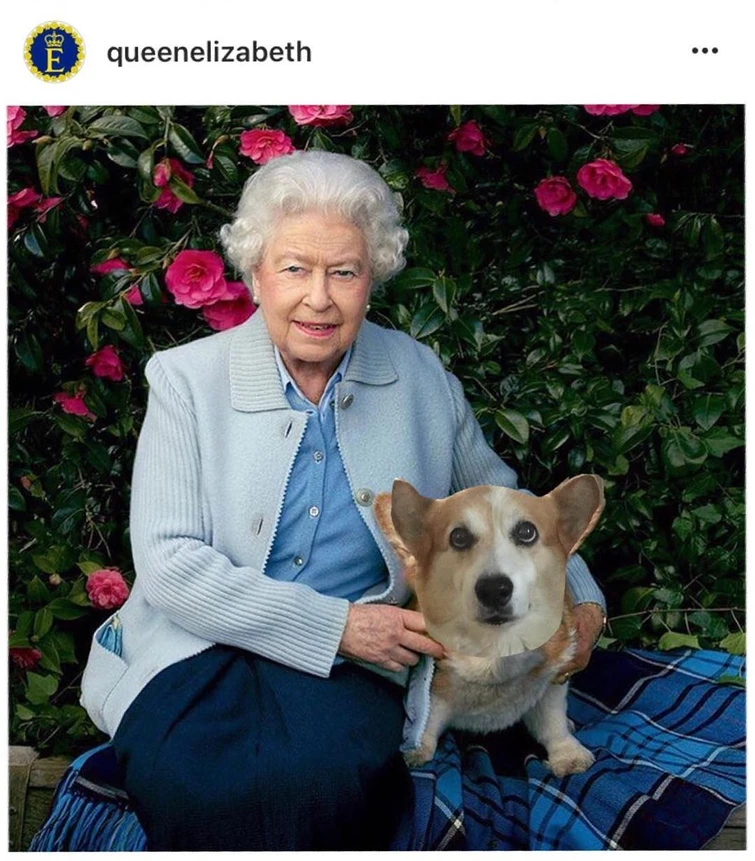 Compleanno triste per la regina Elisabetta un lutto devastante