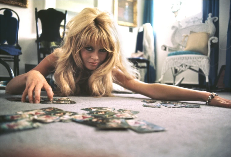 Addio bellezza ora Brigitte Bardot pensa solo agli animali