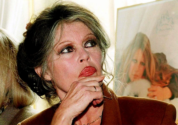Brigitte Bardot va alla guerra lultima battaglia della pasionaria di Francia