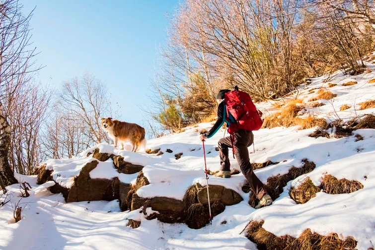 Trekking dinverno da soli con cane o bambini alcuni consigli