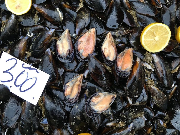 Molluschi bivalvi per un consumo senza rischi