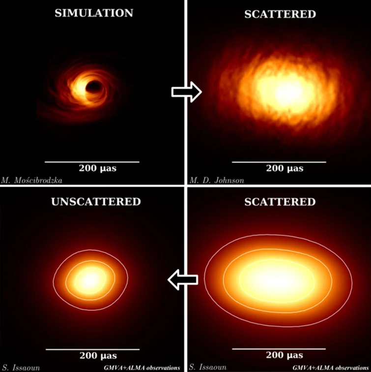 Katie Bouman la scienziata di 29 anni che ha creato lalgoritmo per lelaborazione dellimmagine del buco nero