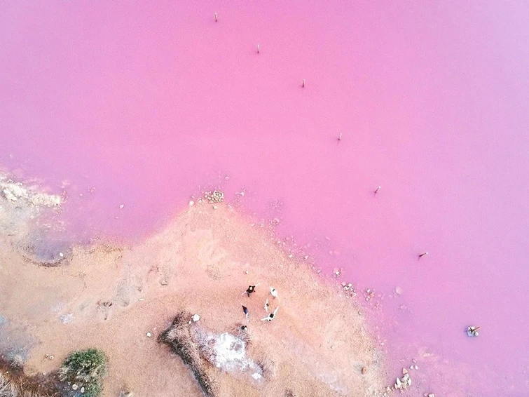 La spettacolare laguna rosa di Torrevieja in Spagna