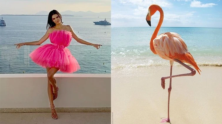 La mossa del fenicottero la moda dellestate 2019 è la flamingopose