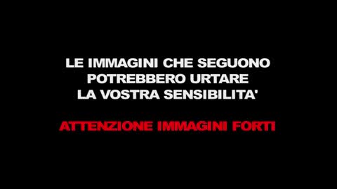 Insulti social contro Annibali Lei Non mi lascerò intimidire