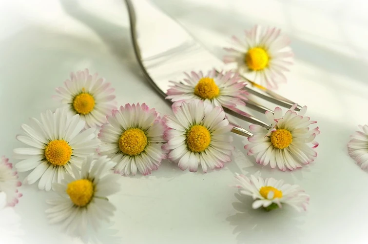 A tavola con i fiori commestibili