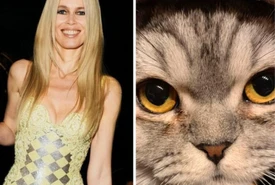 Il gatto di Claudia Schiffer le ruba la scena e diventa una star per un caso fortuito