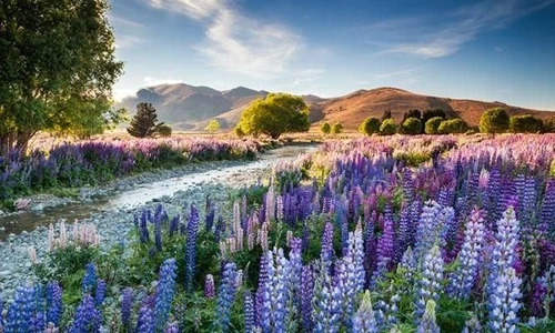 I giardini più belli i vincitori dellInternational Garden Photographer Of The Year