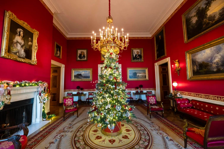 Alla Casa Bianca è già arrivato il Natale gli addobbi esagerati della nuova First Lady