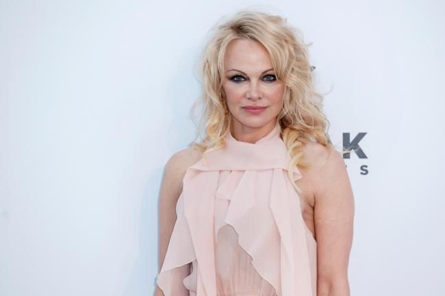 Si aprì laccappatoio e si mostrò nudo Pamela Anderson accusa Tim Allen di molestie
