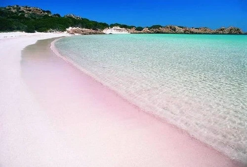 Bianche come il borotalco rosa o nere vulcaniche alcune delle spiagge dai colori più strani