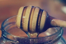 Dieci varietà di miele poco conosciute dalle straordinarie proprietà benefiche