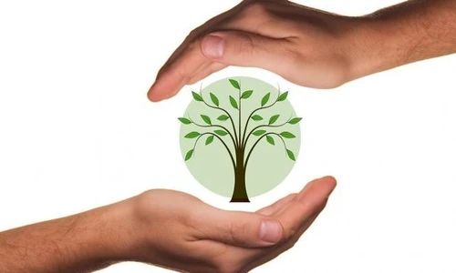 The GreenWatcher la community per scoprire quanta sostenibilità cè intorno a noi