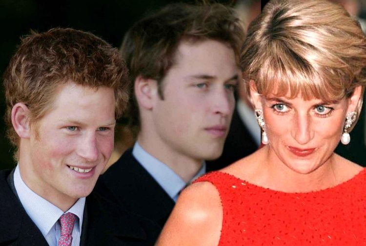 Diana dietro la rivalità tra Harry e William la carta igienica soft del futuro re Le rivelazioni di Tina Brown