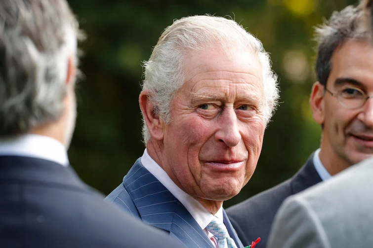 Mike Tindall fa preoccupare re Carlo la prima volta di un membro della Royal family a un reality show