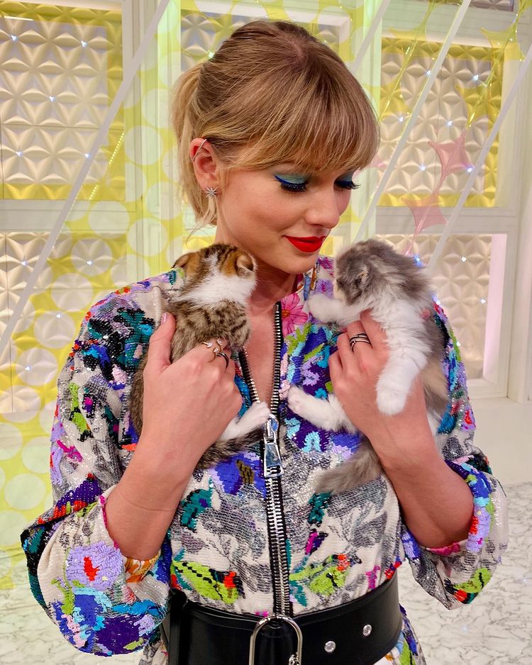 La gatta di Taylor Swift ha un patrimonio di 97 milioni di dollari ma non è lanimale più ricco