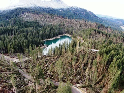 Maltempo in Veneto Trentino e Friuli i danni alle foreste italiane