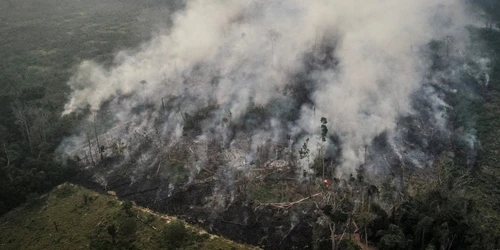Amazzonia in fiamme il Brasile accetta gli aiuti ma ora è corsa contro il tempo
