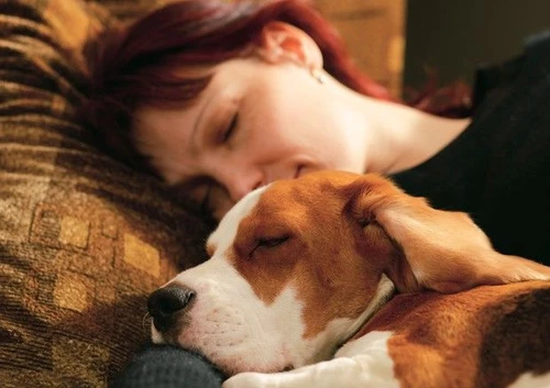 A letto le donne preferiscono il cane al partner ecco perché
