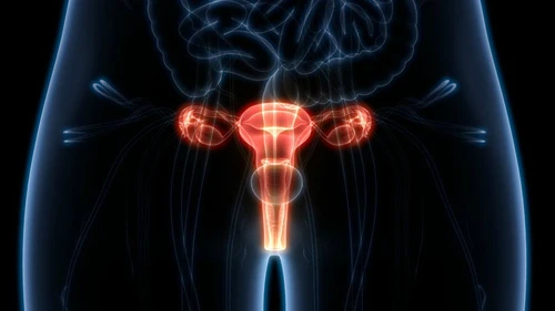 Vaginite endometriosi vulvodinia cause cura prevenzione