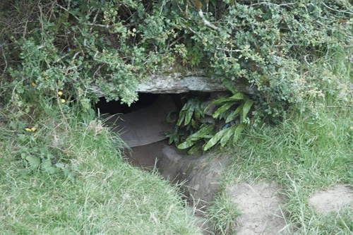 Le misteriose origini di Halloween dalla grotta demoniaca dellIrlanda al passato cristiano medievale