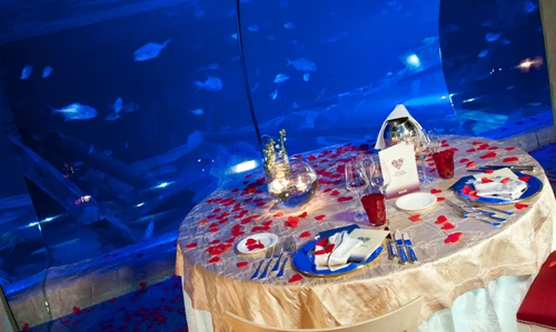 San Valentino a Gardaland cena romantica allaquarium