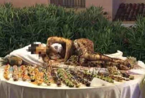 Una donna ricoperta di cioccolato servita nel buffet di un albergo in Sardegna Il presidente Solinas Mi vergogno