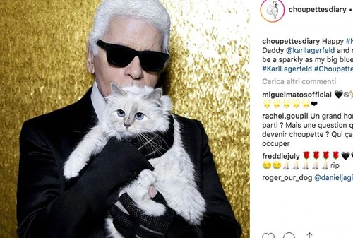 Tutti pazzi per Choupette la gatta più glamour del mondo che ora è pure unereditiera