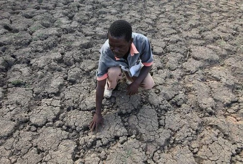 Il cambiamento del clima aumenterà la fame e le migrazioni Siccità e piogge danneggeranno lagricoltura