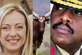 Giorgia Meloni e la stravagante offerta del generale ugandese 100 mucche per il suo coraggio E polemica