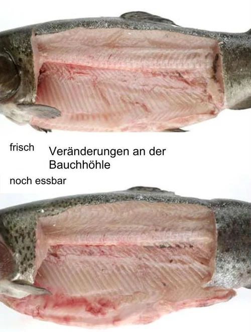 Come riconoscere il pesce fresco