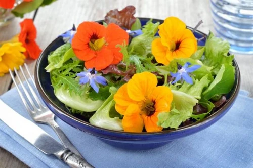 A tavola con i fiori commestibili tra sapori a sorpresa e benefici per la salute