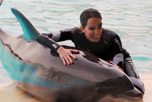 Gessica Notaro torna a lavorare in piscina coi suoi delfini Le immagini meravigliose