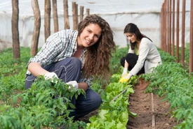 Agricoltura via libera al bonus Donne in Campo per le aziende al femminile