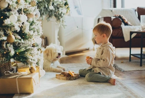Creare la magica atmosfera natalizia in casa spendendo pochissimo i consigli dellesperta