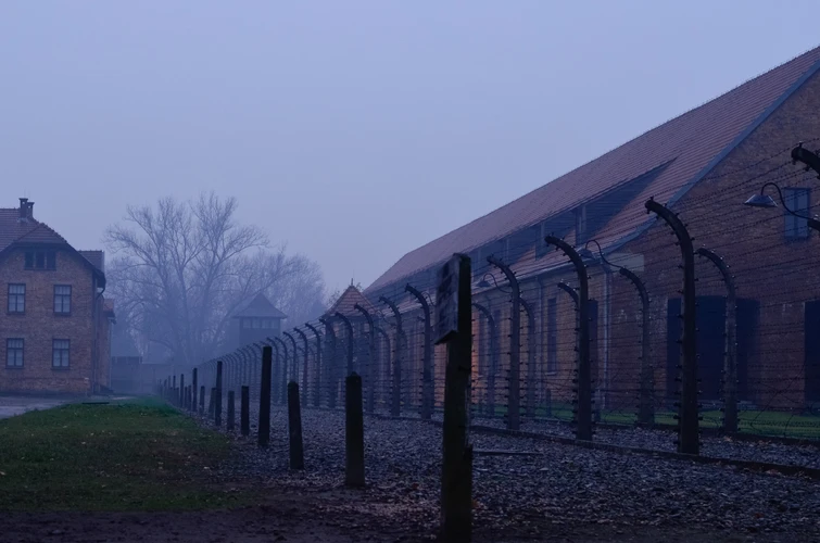 Quei selfie morbosi  nella fabbrica della morte ad Auschwitz il confine tra follia e civiltà si perde ancora