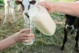 Il latte è un alimento completo ma ne consumiamo troppo i miti da sfatare