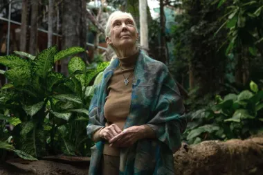 Jane Goodall 