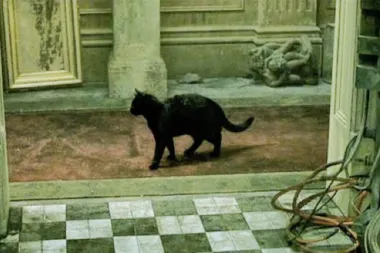 Il déjà vu del film The Matrix