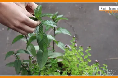 Sorsi di Benessere - Il tè marocchino per iniziare bene la giornata